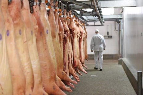 Photo of a person walking next to meat hanging in a meat processing factory