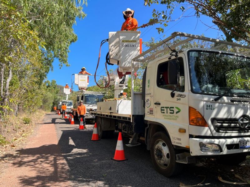 Tree trimming crew on Magnetic Island 