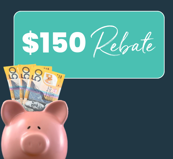 Image of a piggybank with money coming out of it and the words '$150 Rebate'.