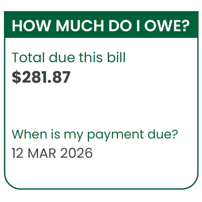 Bill summary panel with a green header reading “How much do I owe?” Shows total amount due for this bill as $281.87 and payment due date as 12 Mar 2026.