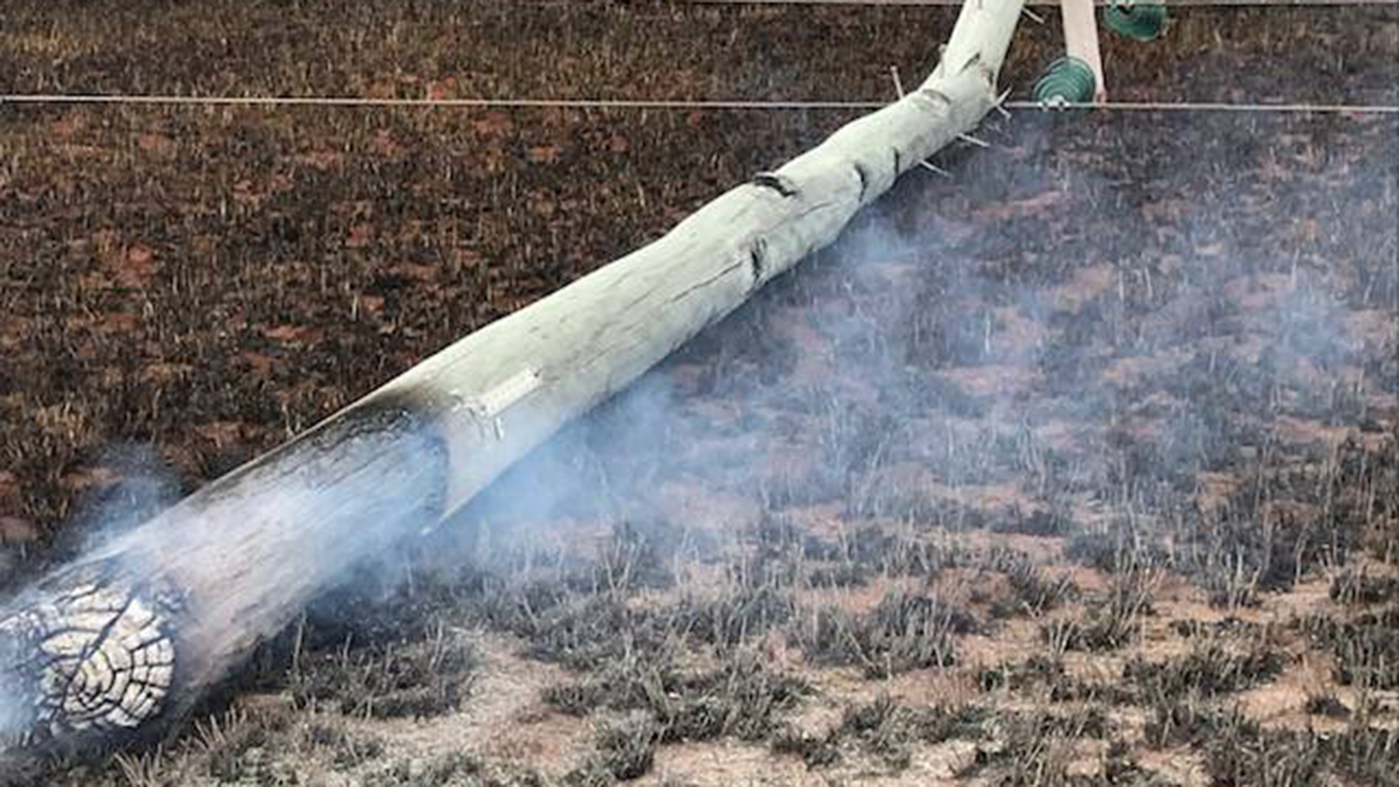 Photo of power pole which has been burnt during a bushfire