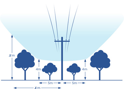 Diagram showing the planting distance from tree to powerline