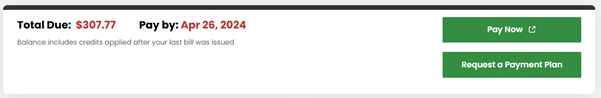 Snapshot of My Account, showing a button saying 'Request a payment plan'. The image also shows the total due, pay by date and a 'Pay now' button.