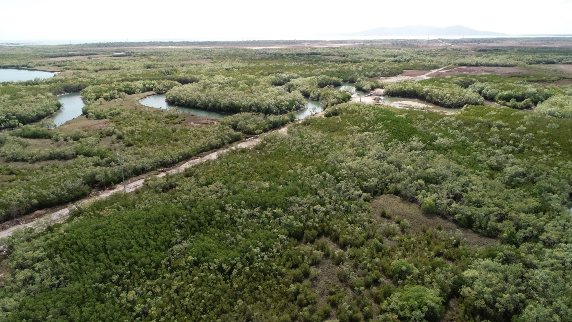 Electricity network in Townsville near mangroves