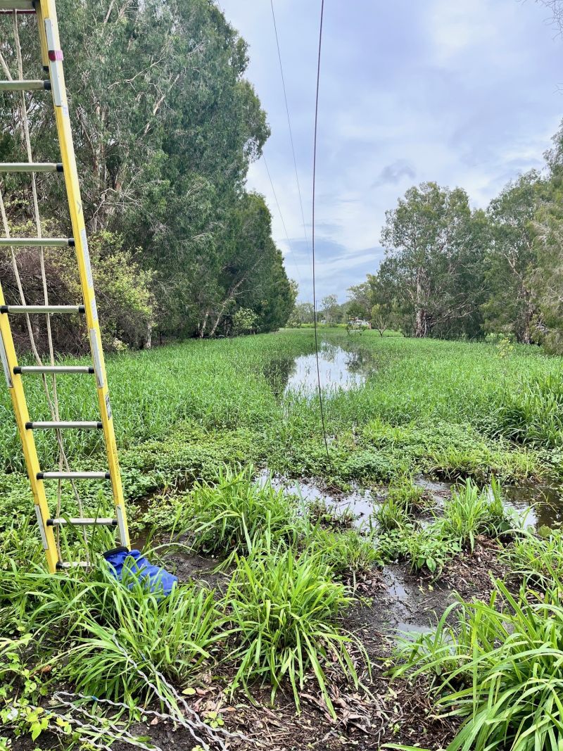 Water on ground with ladder and powerlines down