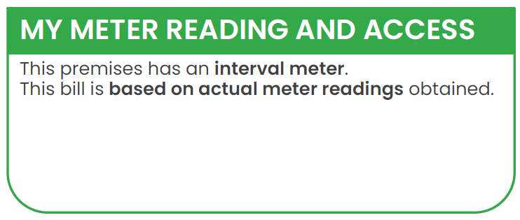 Meter information panel stating the premises has an interval meter and the bill is based on actual meter readings.