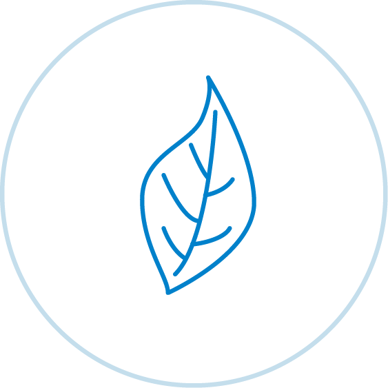 Image of leaf in circle